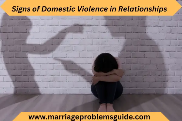 domestic violence's concept